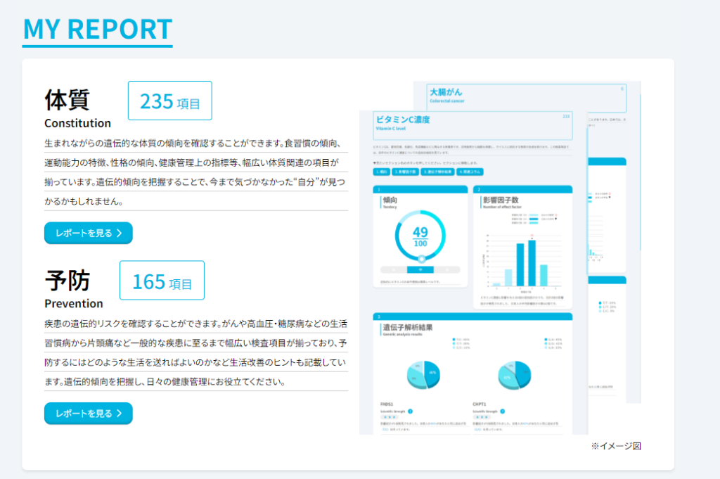 マイレポート