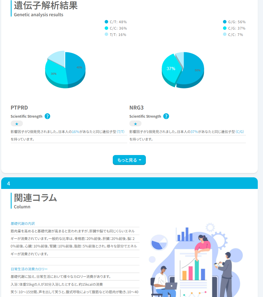 基礎代謝量項目詳細